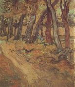 Vincent Van Gogh The Garden of Saint-Paul Hospital with Figure (nn04) France oil painting reproduction